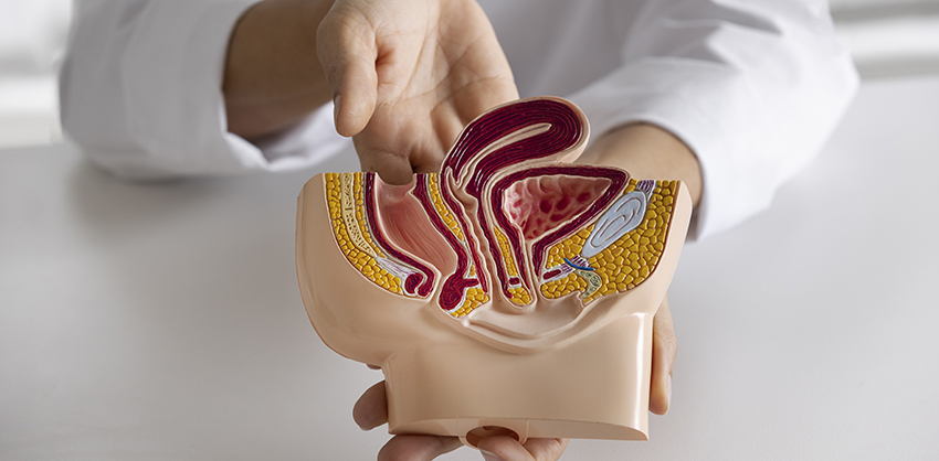 Urologie